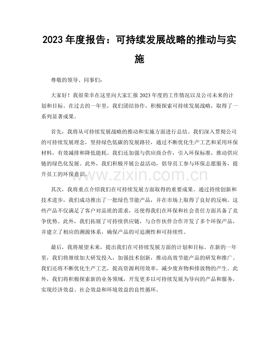 2023年度报告：可持续发展战略的推动与实施.docx_第1页