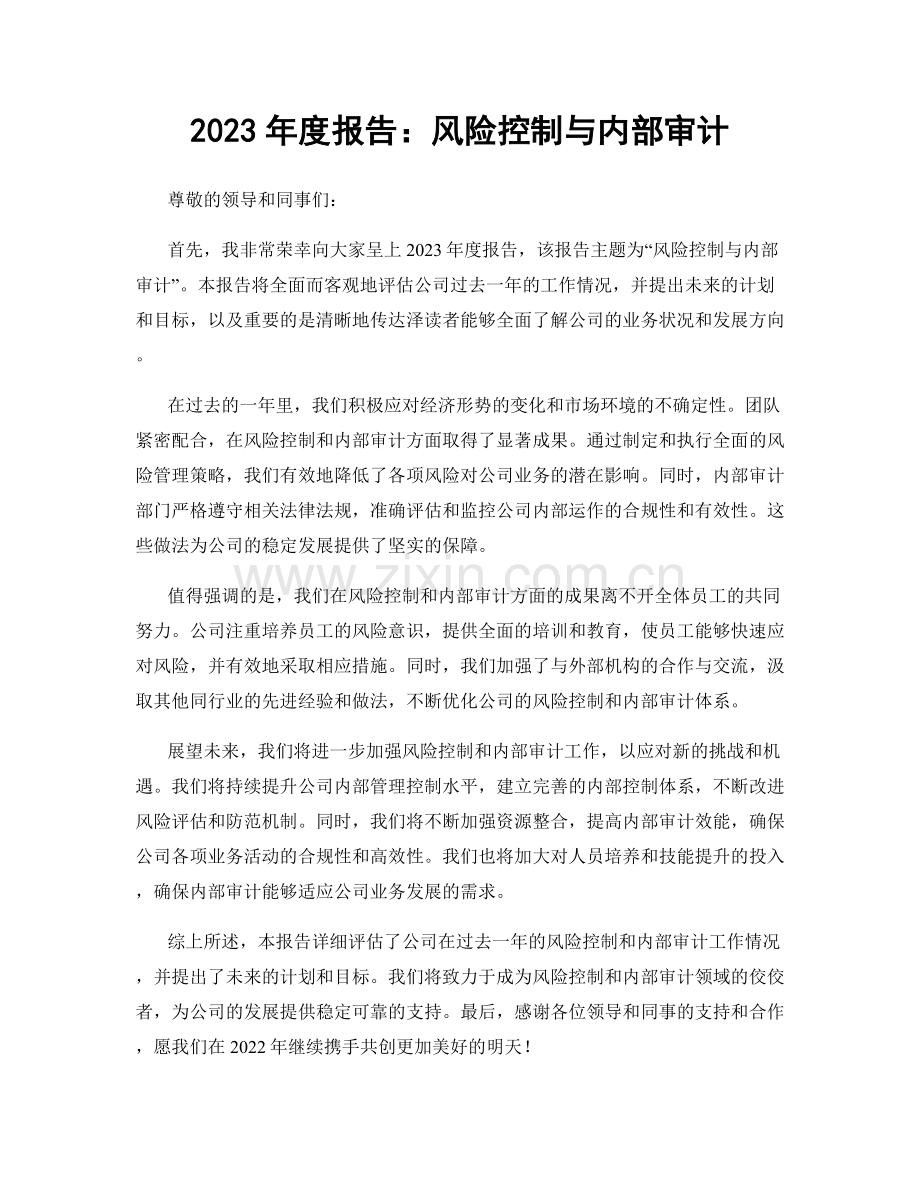 2023年度报告：风险控制与内部审计.docx_第1页