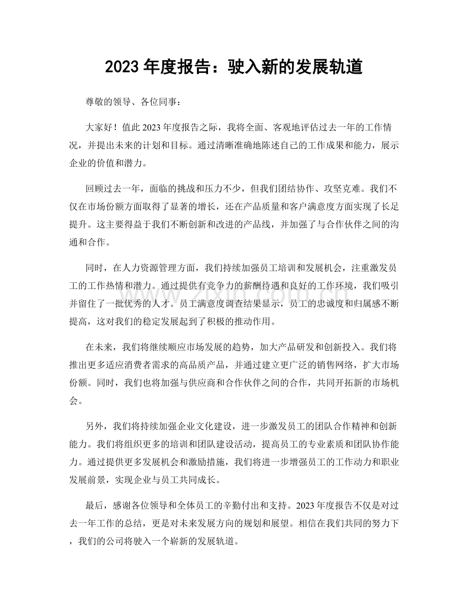 2023年度报告：驶入新的发展轨道.docx_第1页