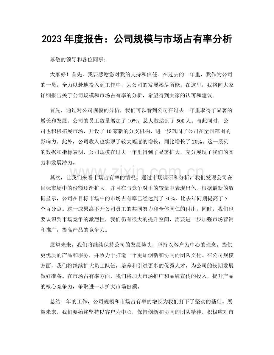 2023年度报告：公司规模与市场占有率分析.docx_第1页