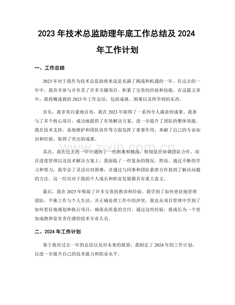 2023年技术总监助理年底工作总结及2024年工作计划.docx_第1页