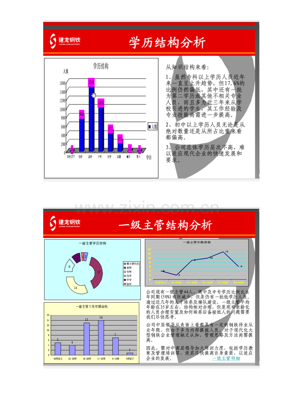 人员结构分析ppt复习课程.doc_第3页