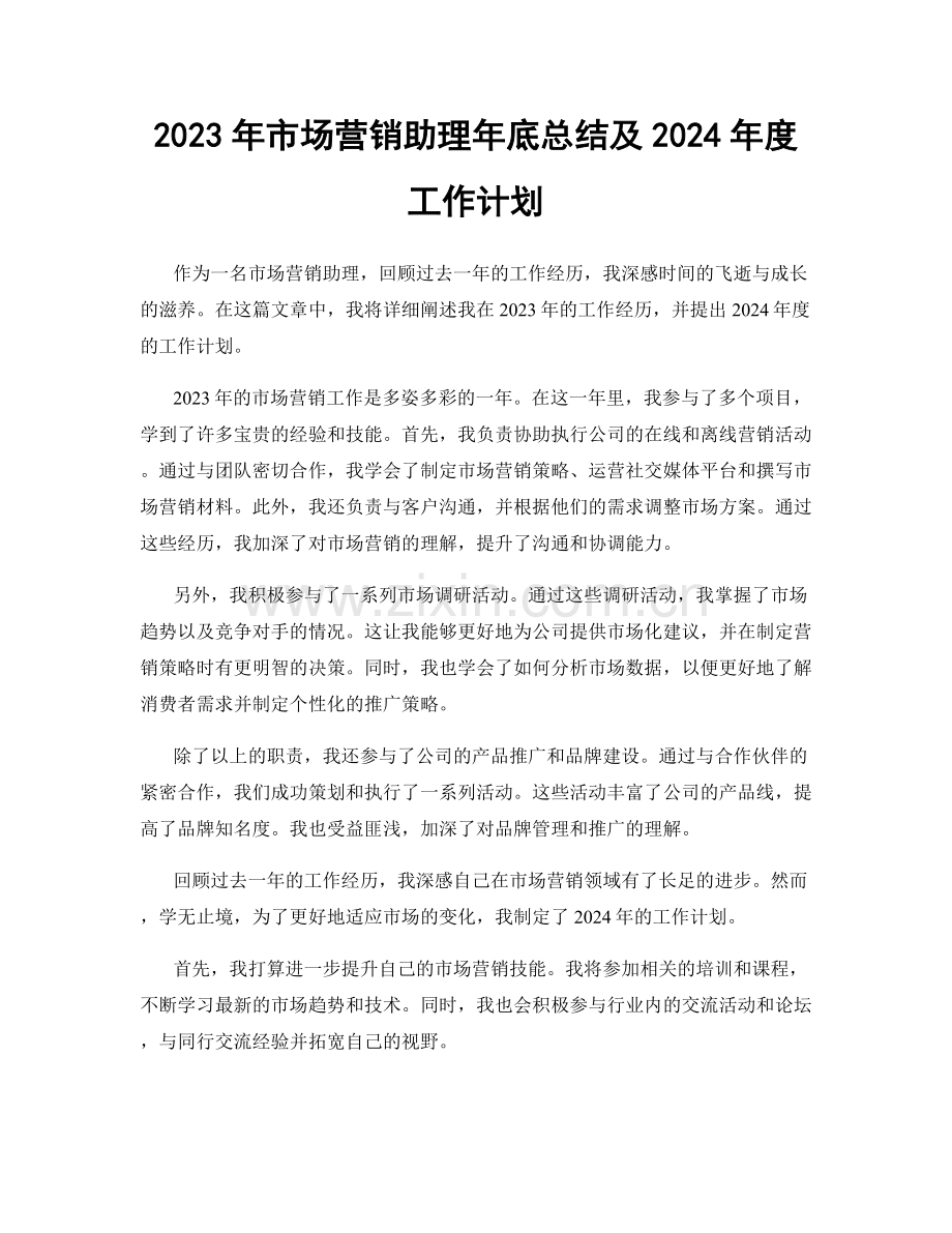 2023年市场营销助理年底总结及2024年度工作计划.docx_第1页