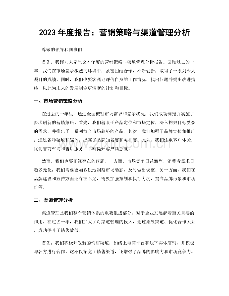 2023年度报告：营销策略与渠道管理分析.docx_第1页