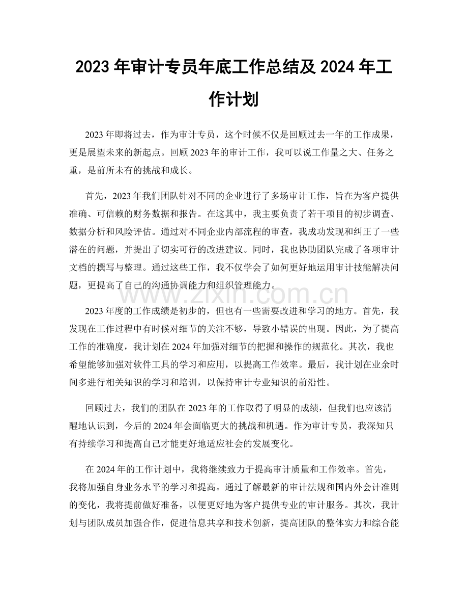 2023年审计专员年底工作总结及2024年工作计划.docx_第1页