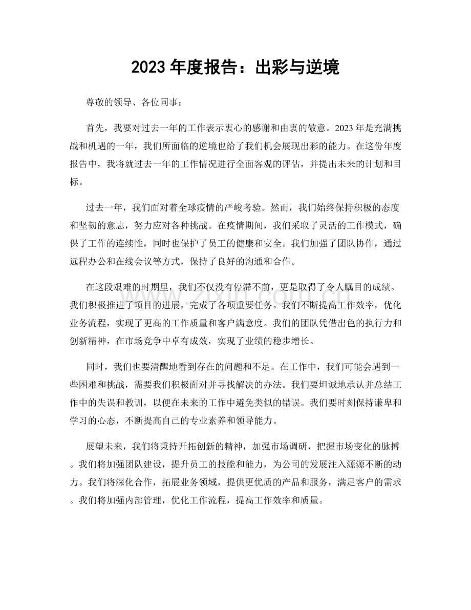 2023年度报告：出彩与逆境.docx_第1页