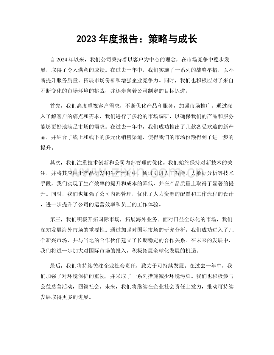 2023年度报告：策略与成长.docx_第1页