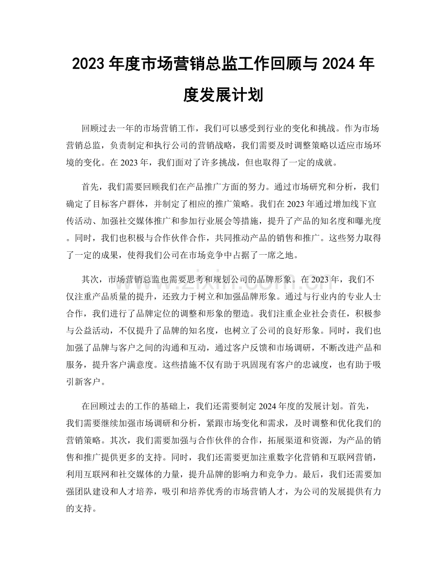 2023年度市场营销总监工作回顾与2024年度发展计划.docx_第1页