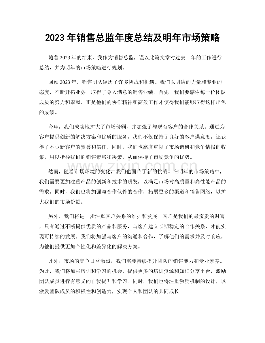 2023年销售总监年度总结及明年市场策略.docx_第1页