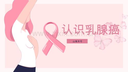 【健康管理】乳腺癌女性健康介绍.pptx