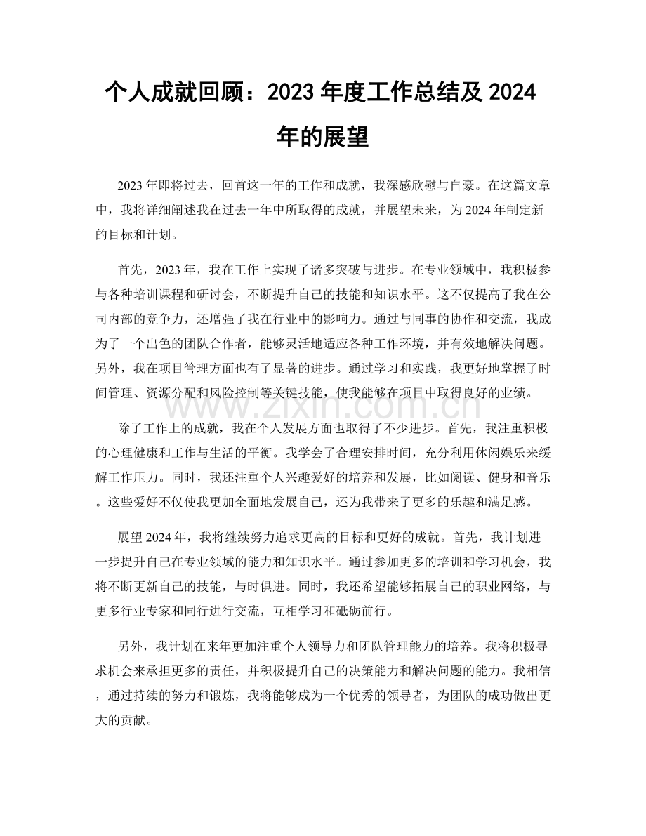 个人成就回顾：2023年度工作总结及2024年的展望.docx_第1页