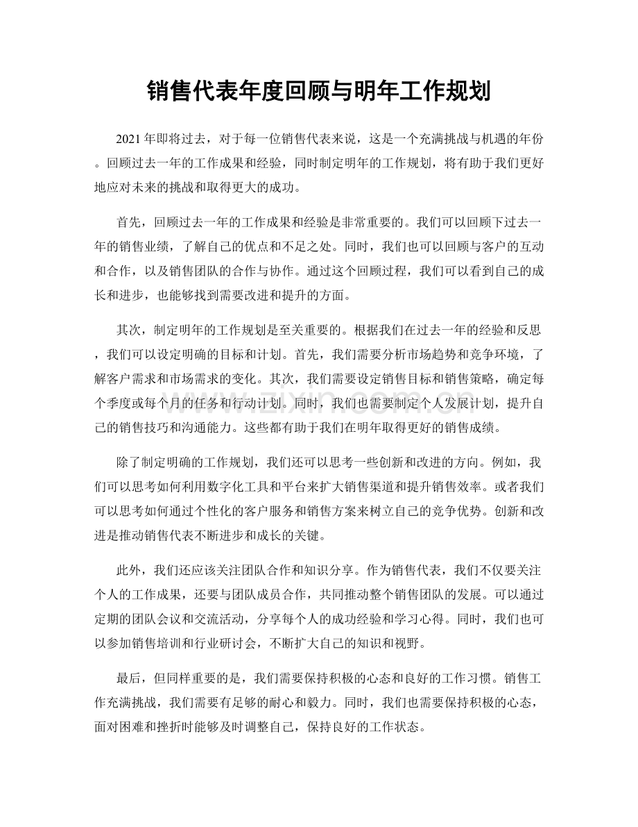 销售代表年度回顾与明年工作规划.docx_第1页