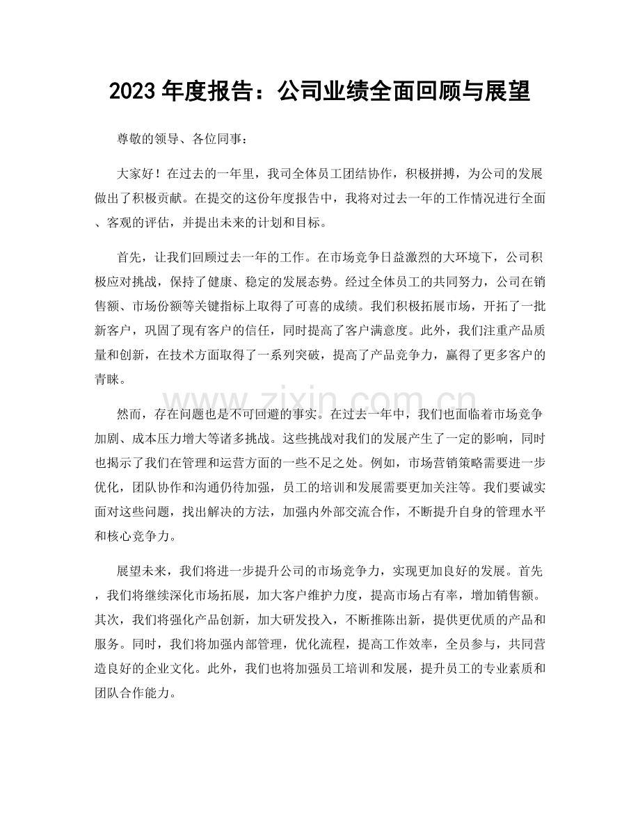 2023年度报告：公司业绩全面回顾与展望.docx_第1页