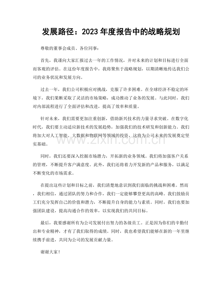 发展路径：2023年度报告中的战略规划.docx_第1页