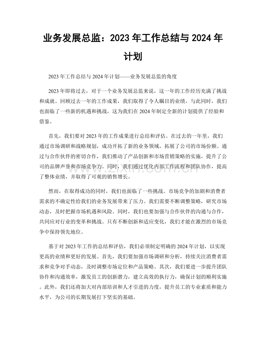 业务发展总监：2023年工作总结与2024年计划.docx_第1页