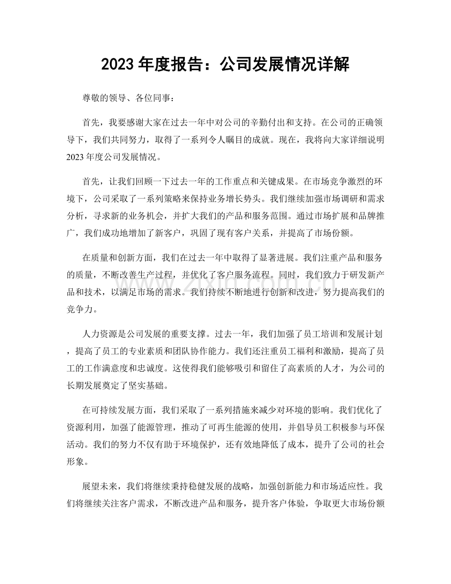 2023年度报告：公司发展情况详解.docx_第1页