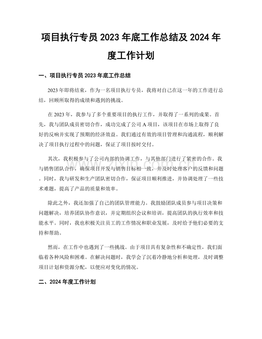 项目执行专员2023年底工作总结及2024年度工作计划.docx_第1页