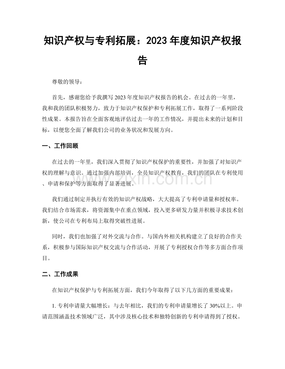 知识产权与专利拓展：2023年度知识产权报告.docx_第1页