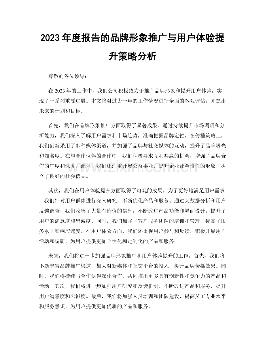 2023年度报告的品牌形象推广与用户体验提升策略分析.docx_第1页