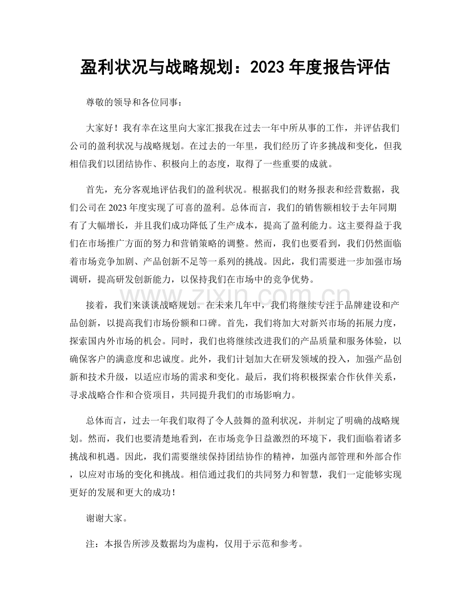 盈利状况与战略规划：2023年度报告评估.docx_第1页