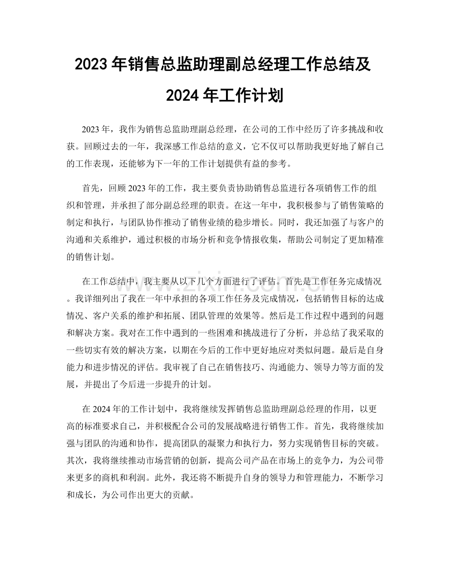 2023年销售总监助理副总经理工作总结及2024年工作计划.docx_第1页