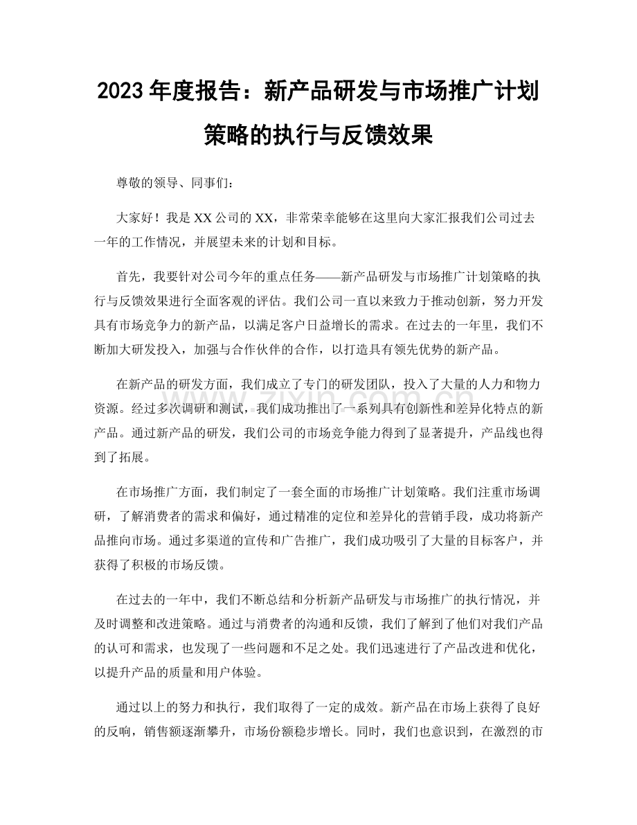 2023年度报告：新产品研发与市场推广计划策略的执行与反馈效果.docx_第1页