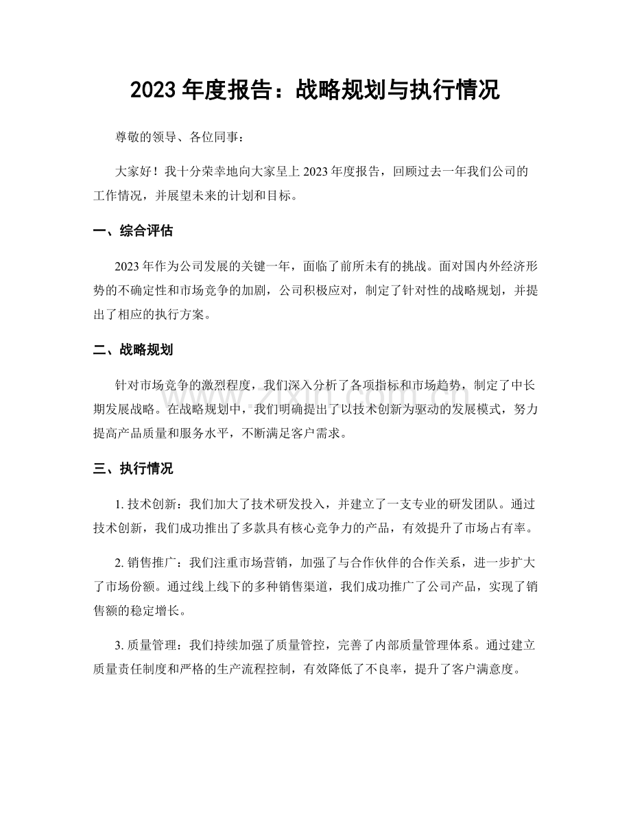 2023年度报告：战略规划与执行情况.docx_第1页