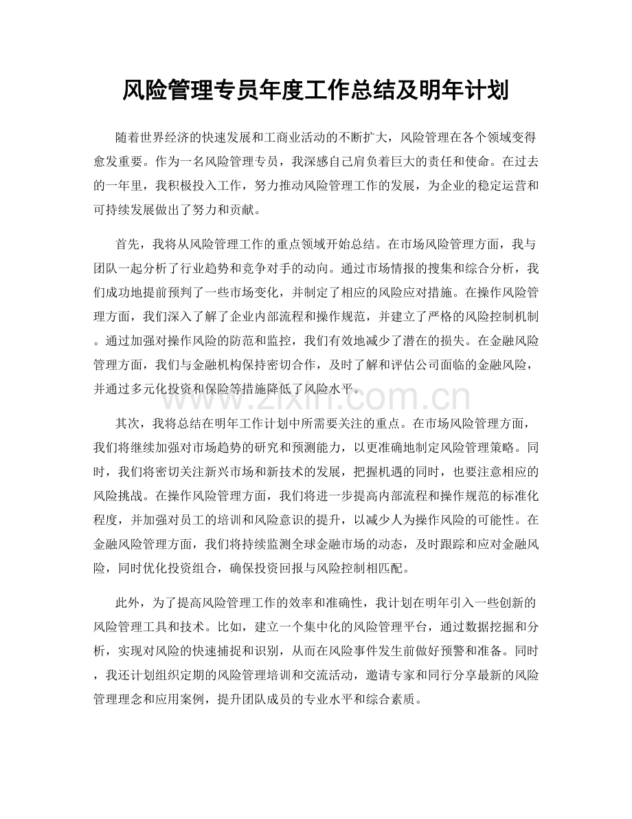 风险管理专员年度工作总结及明年计划.docx_第1页