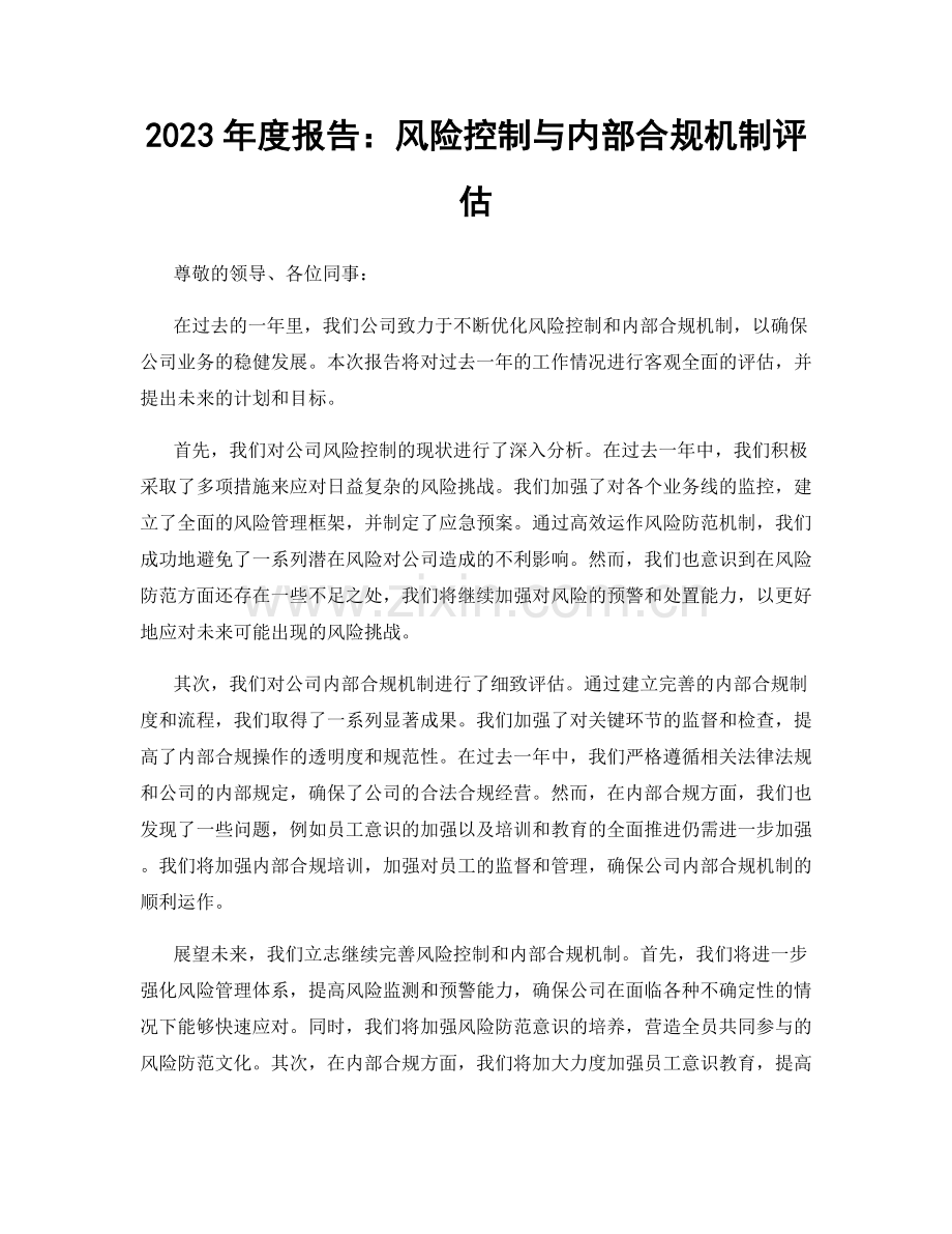 2023年度报告：风险控制与内部合规机制评估.docx_第1页