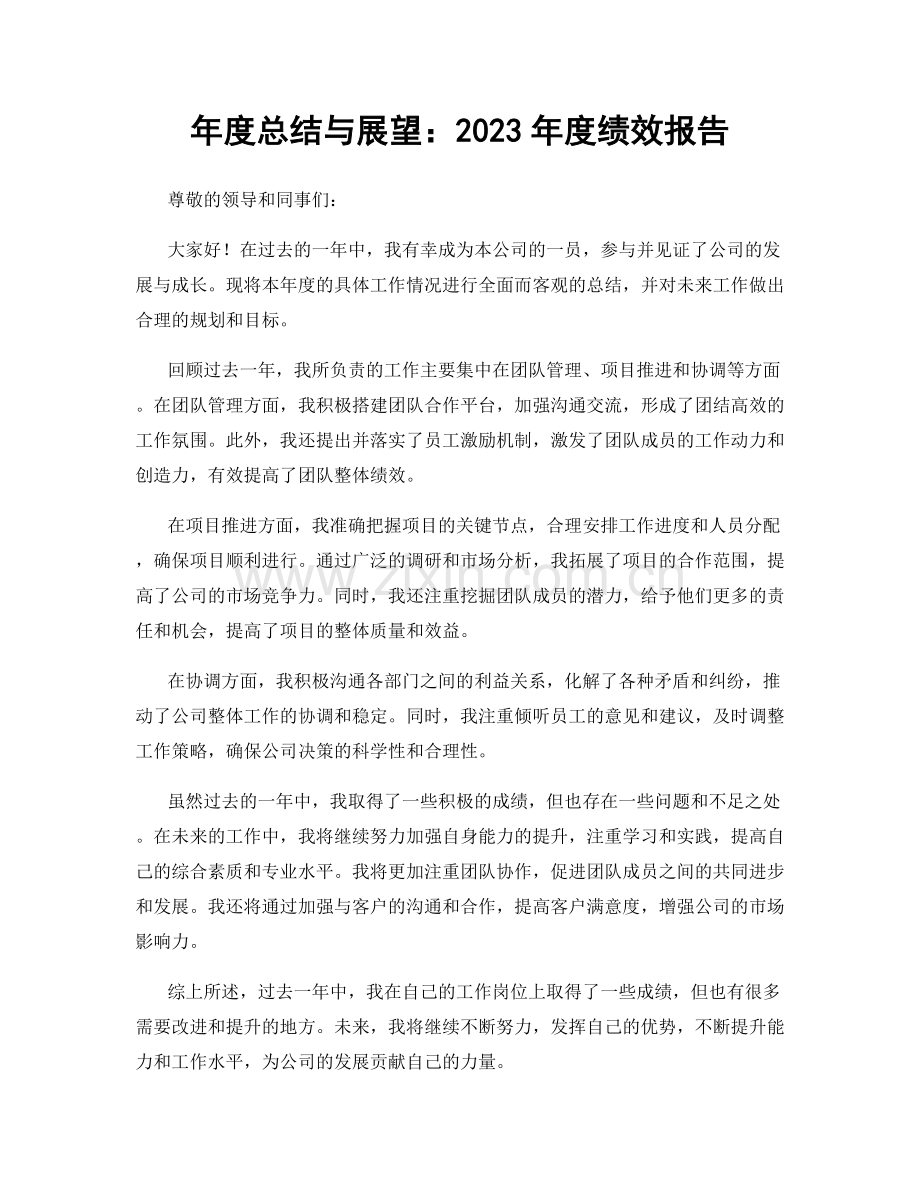 年度总结与展望：2023年度绩效报告.docx_第1页