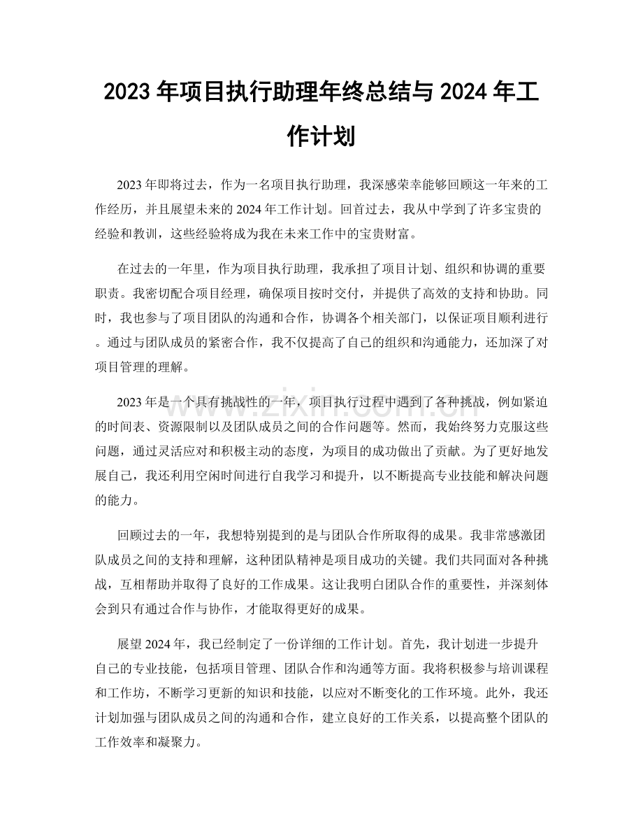 2023年项目执行助理年终总结与2024年工作计划.docx_第1页