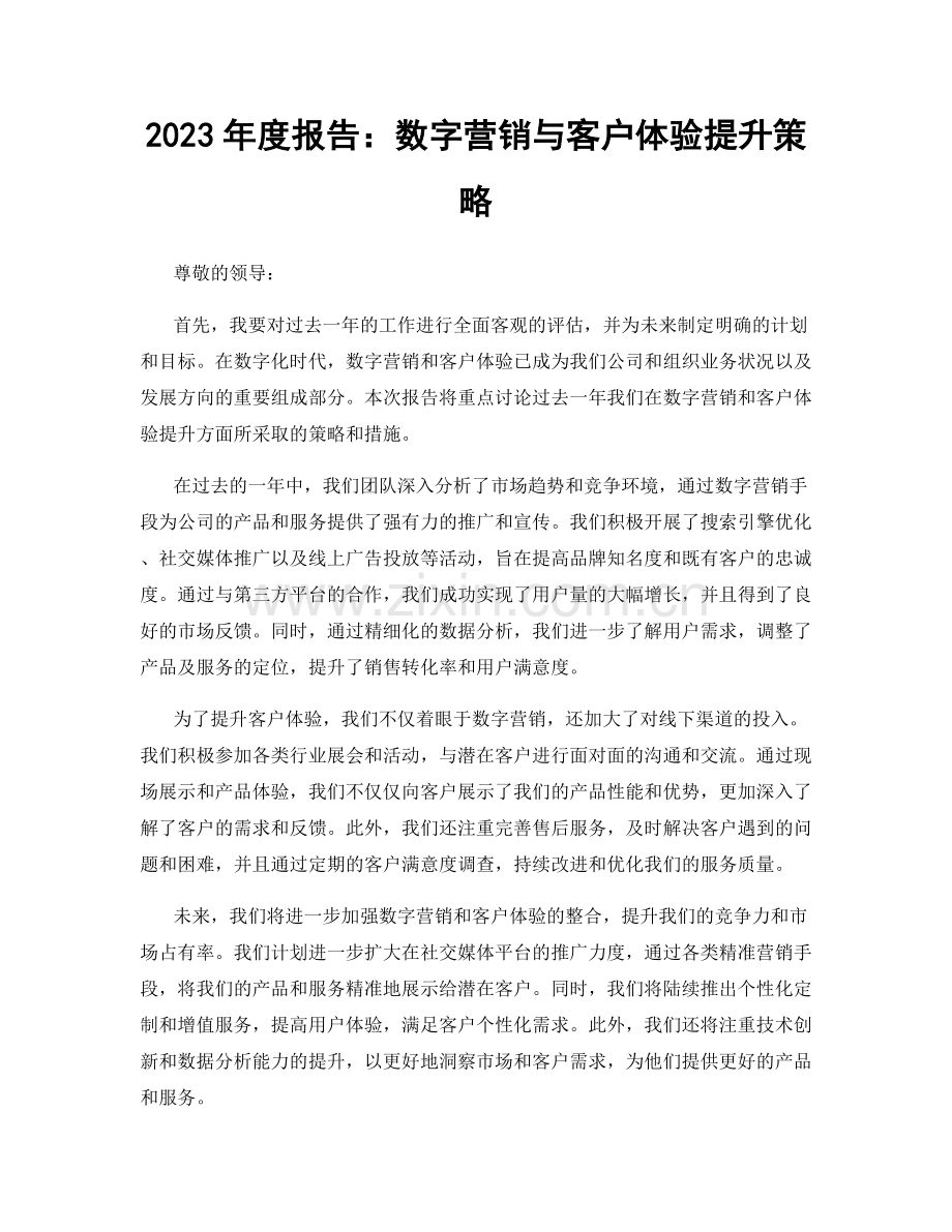 2023年度报告：数字营销与客户体验提升策略.docx_第1页