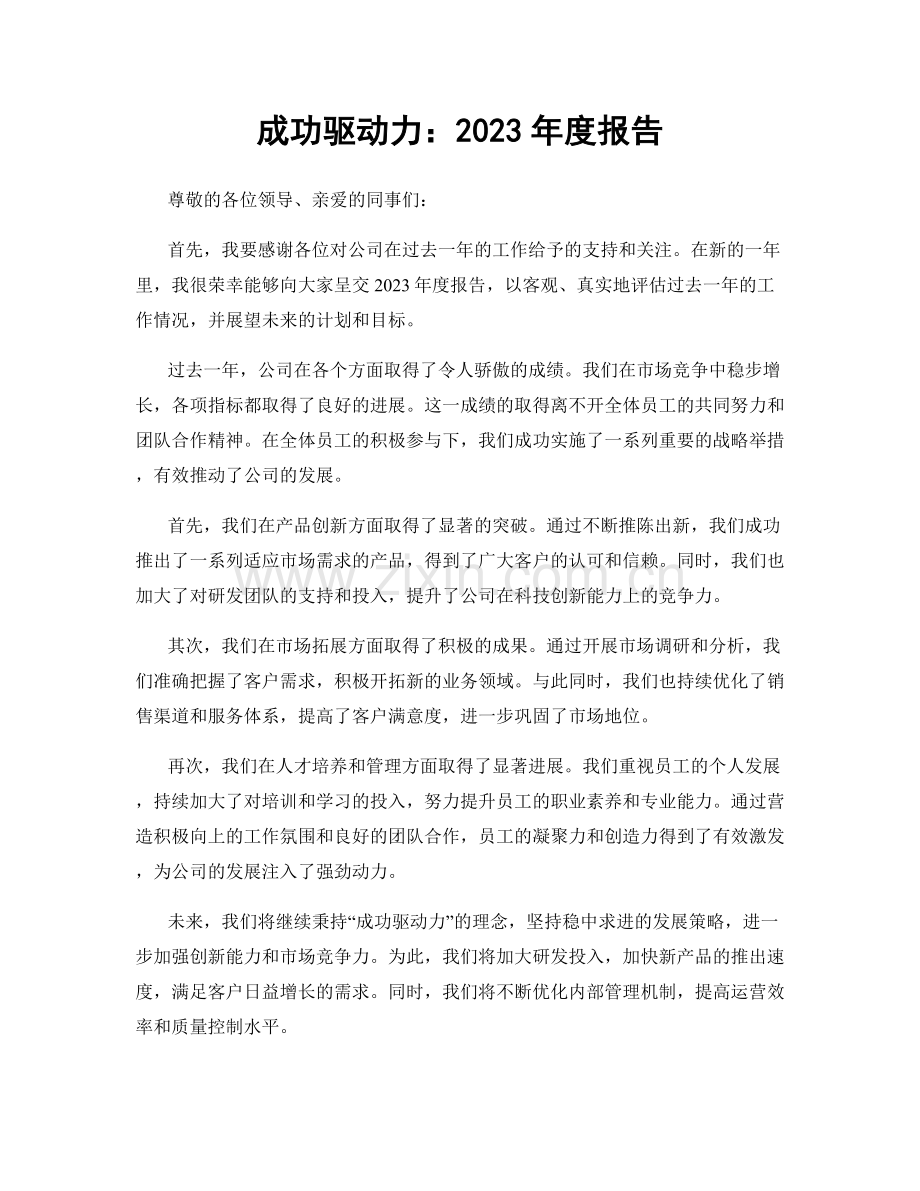 成功驱动力：2023年度报告.docx_第1页