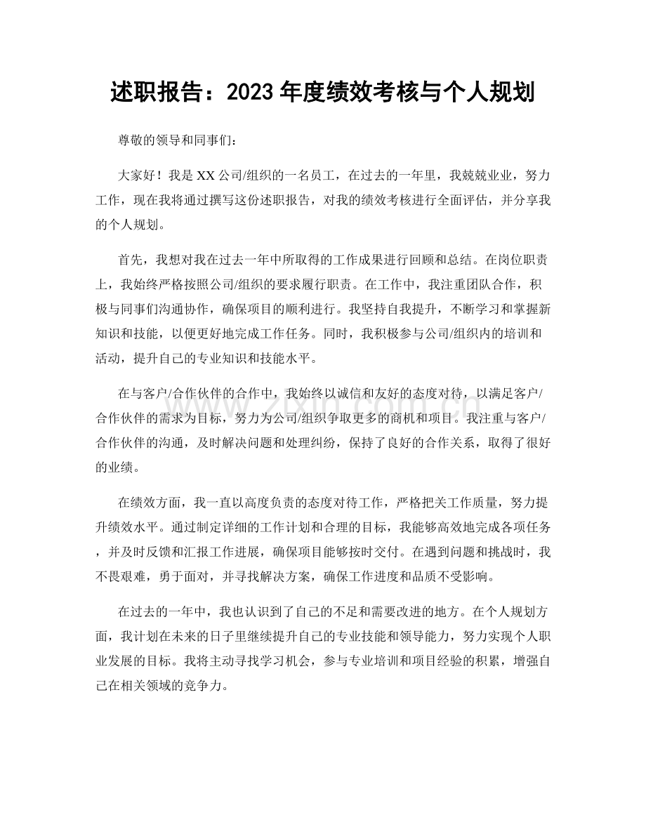 述职报告：2023年度绩效考核与个人规划.docx_第1页