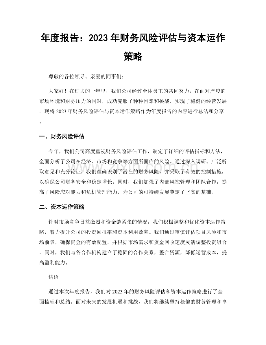 年度报告：2023年财务风险评估与资本运作策略.docx_第1页