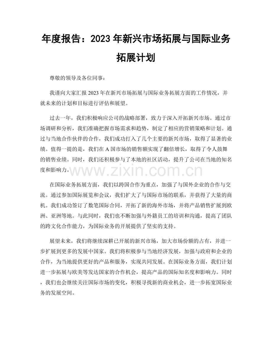 年度报告：2023年新兴市场拓展与国际业务拓展计划.docx_第1页