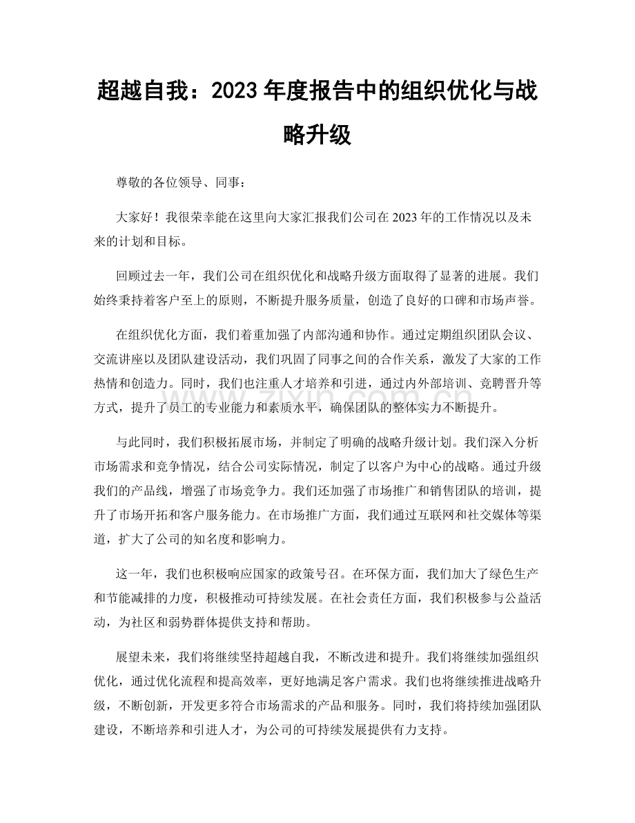 超越自我：2023年度报告中的组织优化与战略升级.docx_第1页