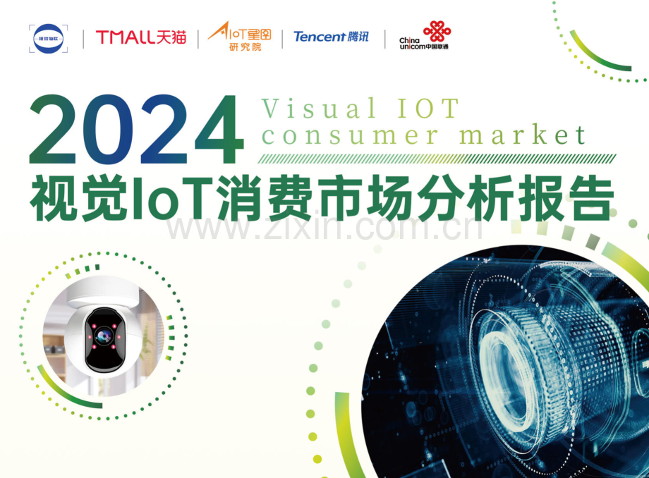 2024年视觉IoT消费市场分析报告.pdf_第1页