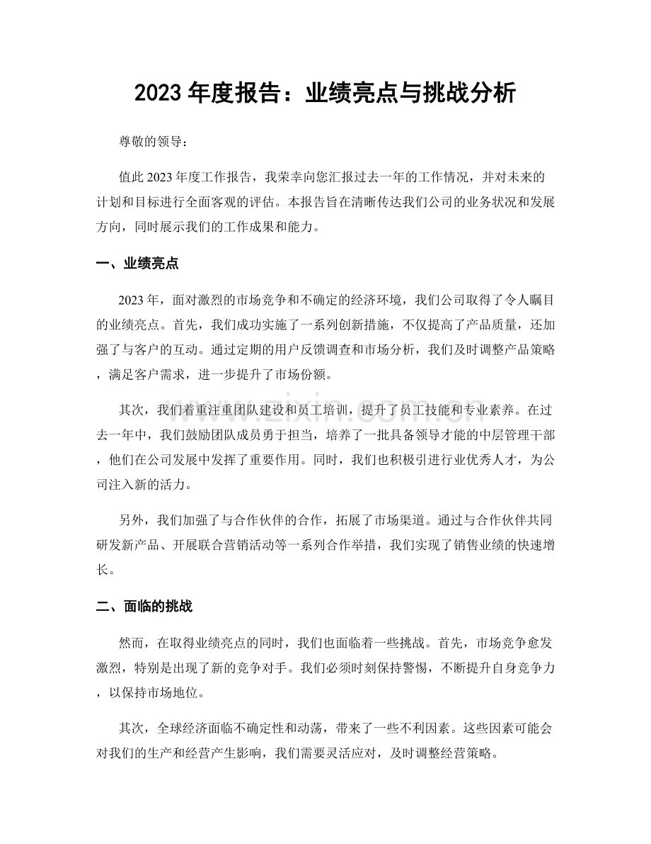 2023年度报告：业绩亮点与挑战分析.docx_第1页