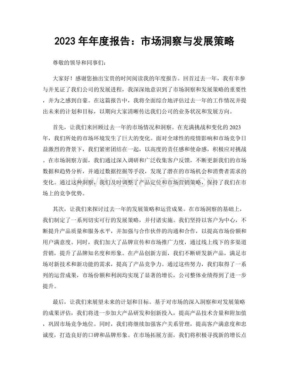 2023年年度报告：市场洞察与发展策略.docx_第1页