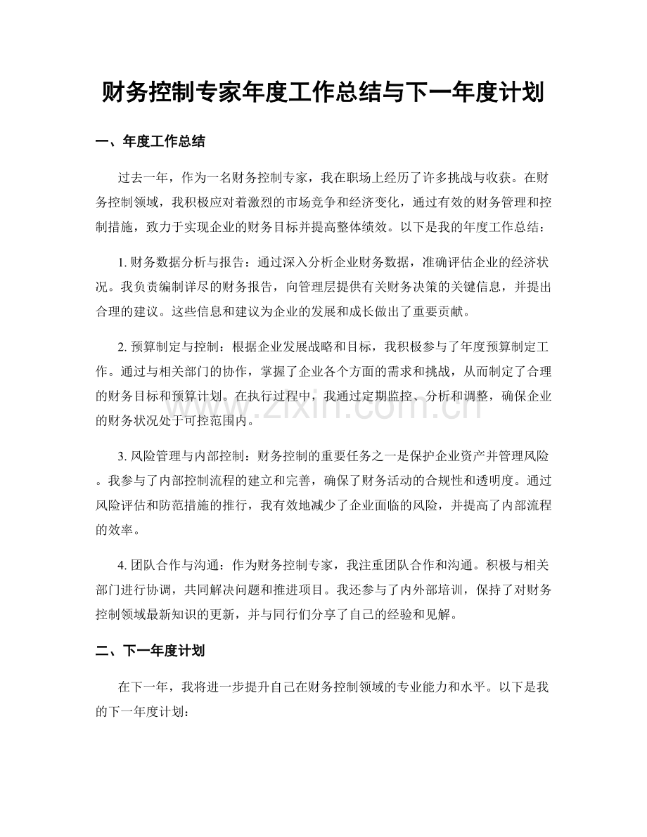 财务控制专家年度工作总结与下一年度计划.docx_第1页