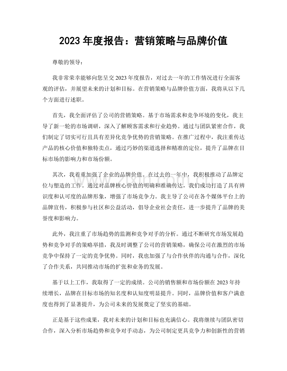 2023年度报告：营销策略与品牌价值.docx_第1页