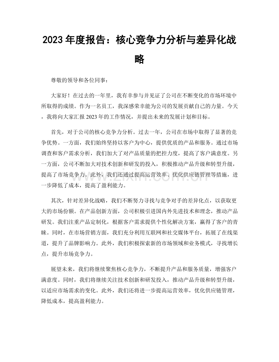 2023年度报告：核心竞争力分析与差异化战略.docx_第1页