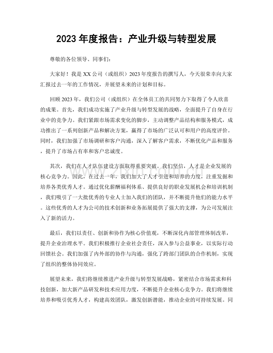 2023年度报告：产业升级与转型发展.docx_第1页