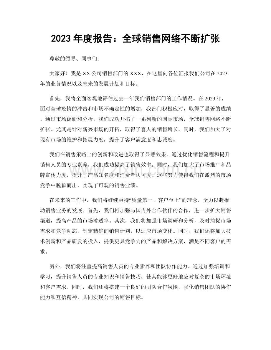 2023年度报告：全球销售网络不断扩张.docx_第1页