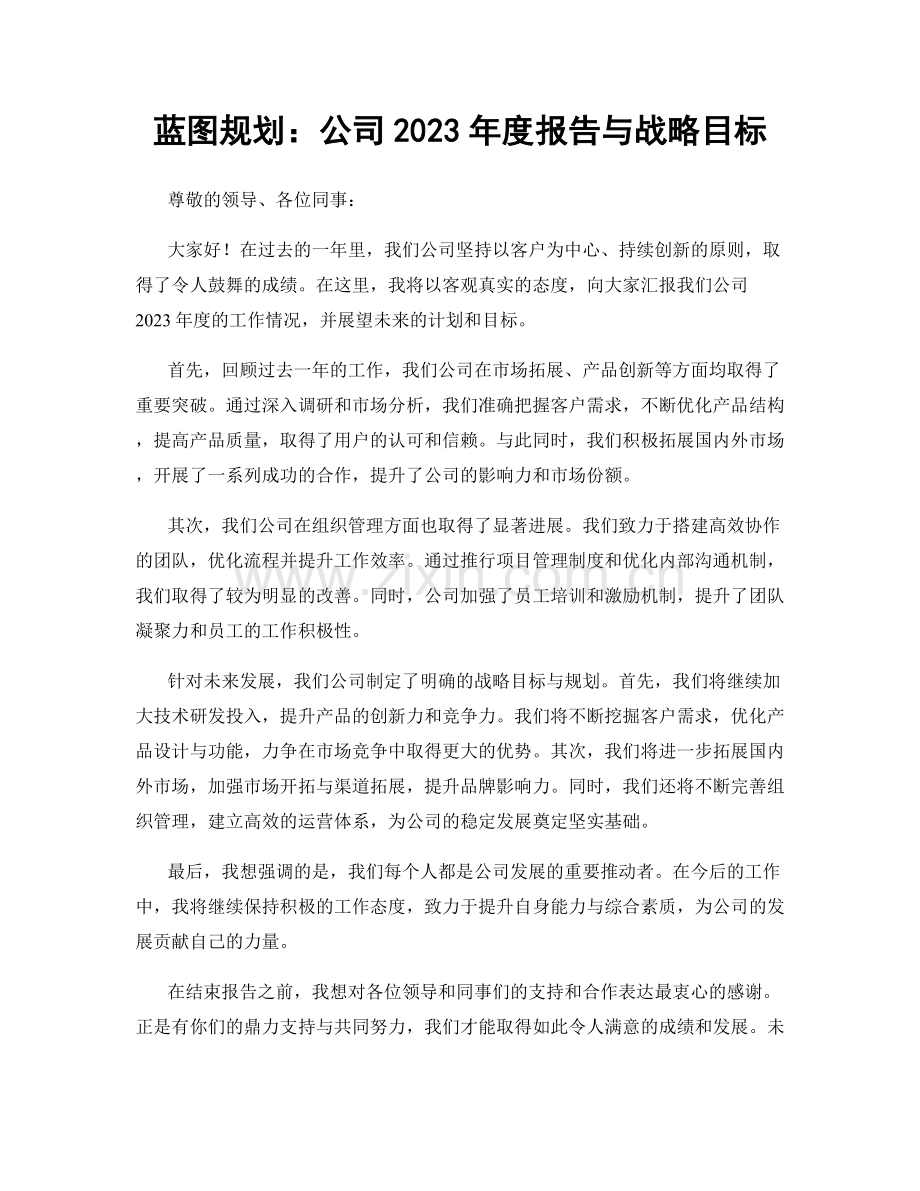 蓝图规划：公司2023年度报告与战略目标.docx_第1页