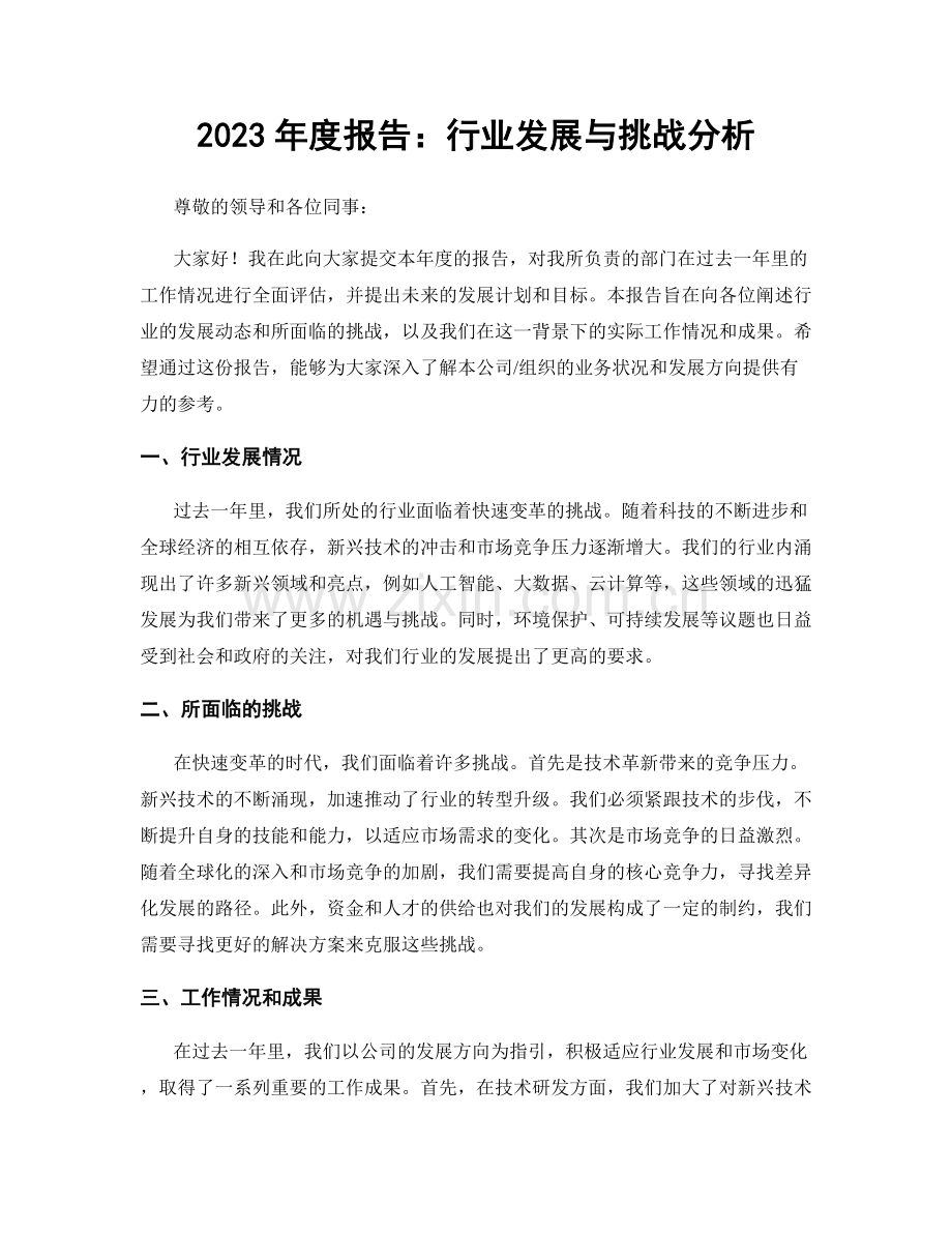 2023年度报告：行业发展与挑战分析.docx_第1页