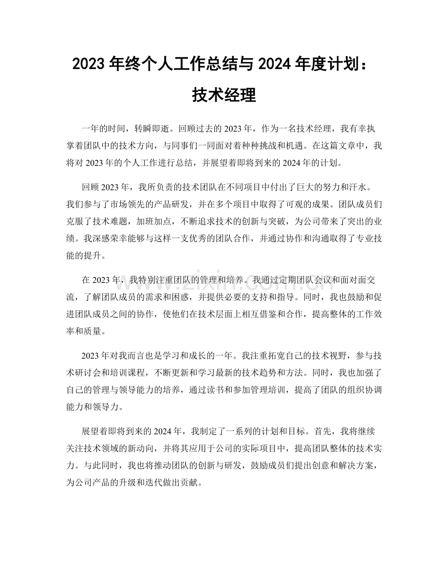 2023年终个人工作总结与2024年度计划：技术经理.docx_第1页