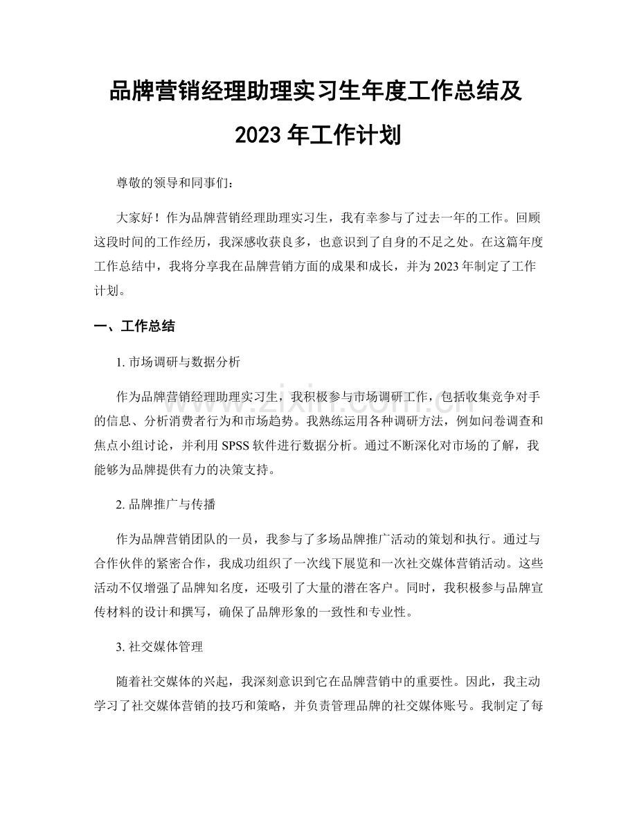 品牌营销经理助理实习生年度工作总结及2023年工作计划.docx_第1页