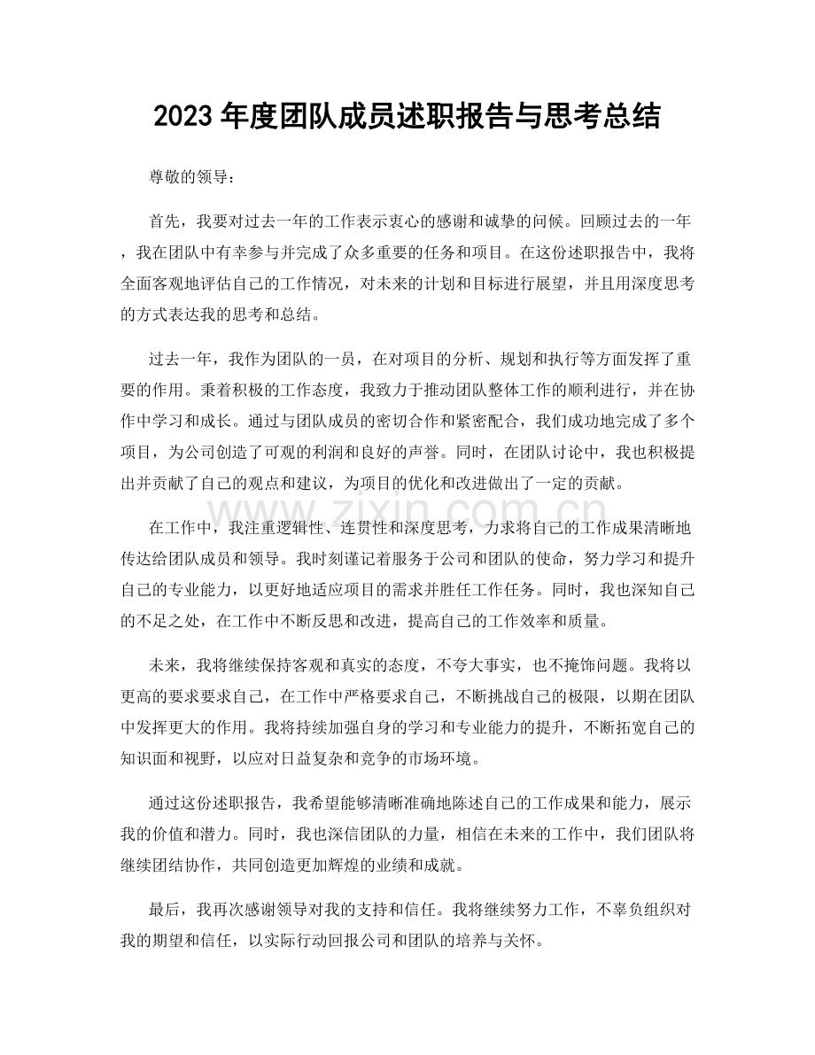 2023年度团队成员述职报告与思考总结.docx_第1页